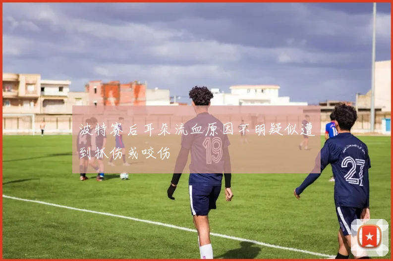 波特赛后耳朵流血原因不明疑似遭到抓伤或咬伤
